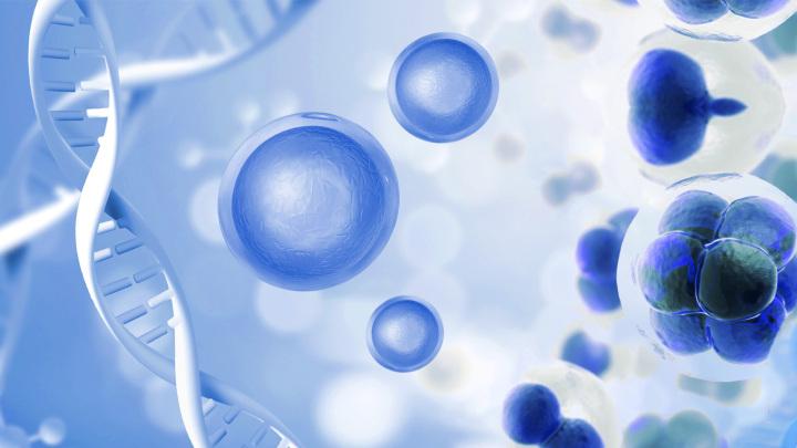 干细胞治疗脑出血后遗症:国内已有新药获批临床试验