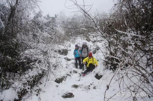 是雪是雾亦是冰,偶遇纯白赵公山 | 1.5游记