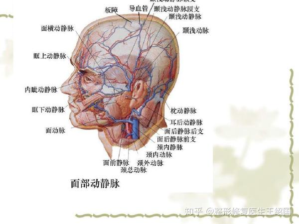 一般来说脂肪层薄血管神经丰富的部位修复难度都比较高,比如 颞部