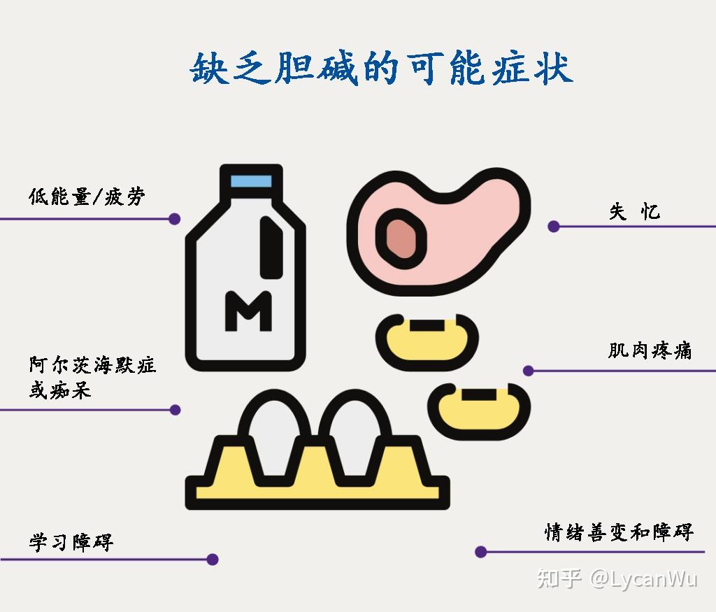 胆碱和乳腺癌.科学是怎么说的?