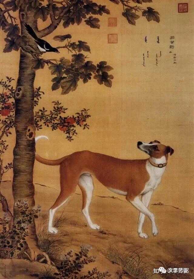 郎世宁十骏犬图欣赏