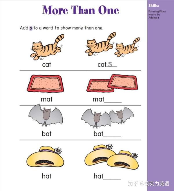 forming plural nouns by adding  s. 加s构成复数名词.