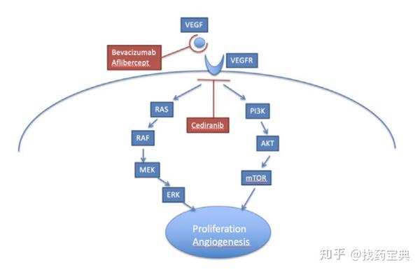 针对gbm适应症的vegf/vegfr项目 通过对胶质瘤的全转录组基因测序