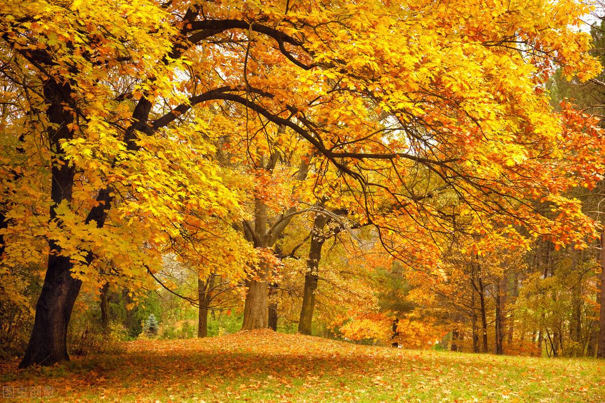 自然的天然着色,不少日常熟悉的景致也变得和往常不太一样:比如,秋天