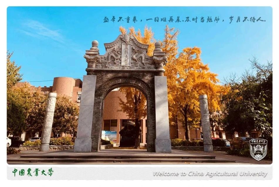 2022年中国农业大学信电考研变化分析