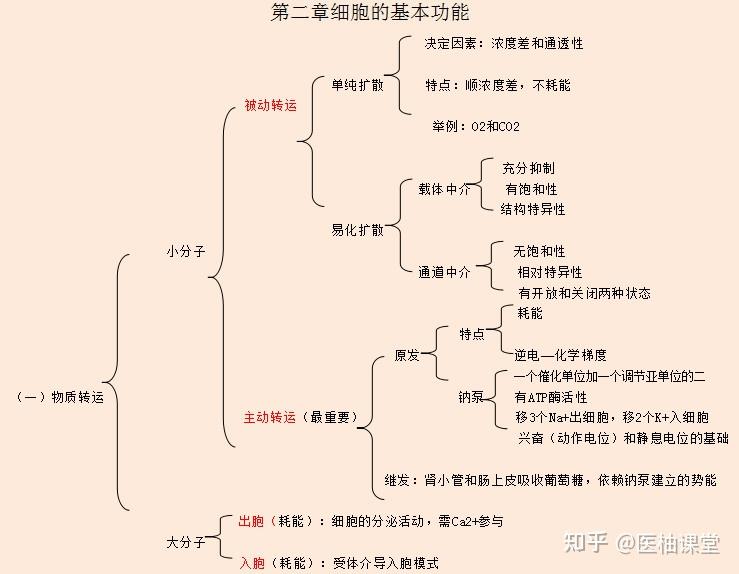 生理学框架图!医学生必备