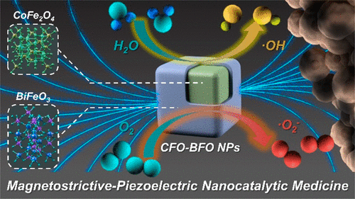 nanolett中科院上海硅酸盐所林翰施剑林磁致伸缩压电触发纳米催化肿瘤