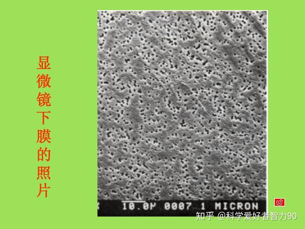 其实真实孔径显微镜照片显示只有0.1微米!