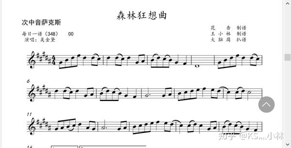 吴金黛森林狂想曲小提琴大提琴单簧管长笛萨克斯小号长号圆号独奏谱