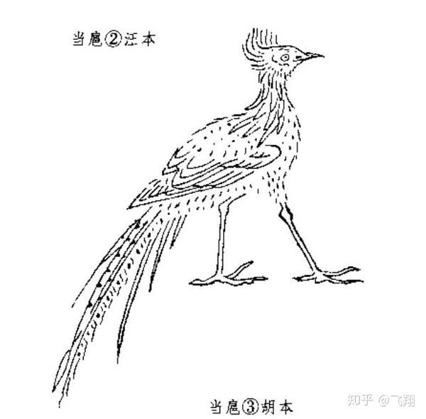 【解说】:当扈 是一种怪鸟,样子像雉,据说吃了它的肉可以不瞬目.