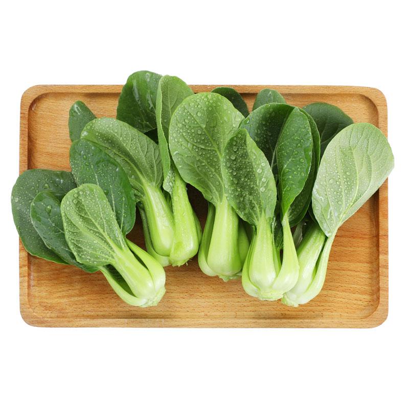 80 现价 ￥ 9.90 京觅优选 小油菜 上海青