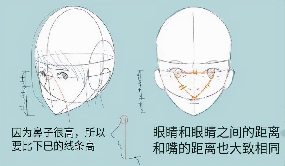 画好人头才见真功夫教你漫画人物头部画法教学