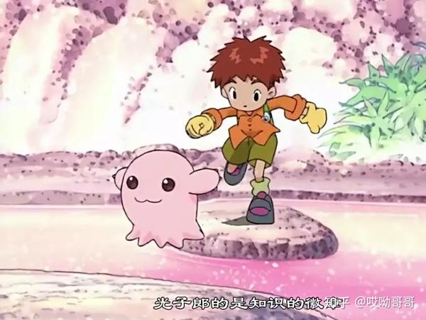 光子郎的徽章是:知识徽章.