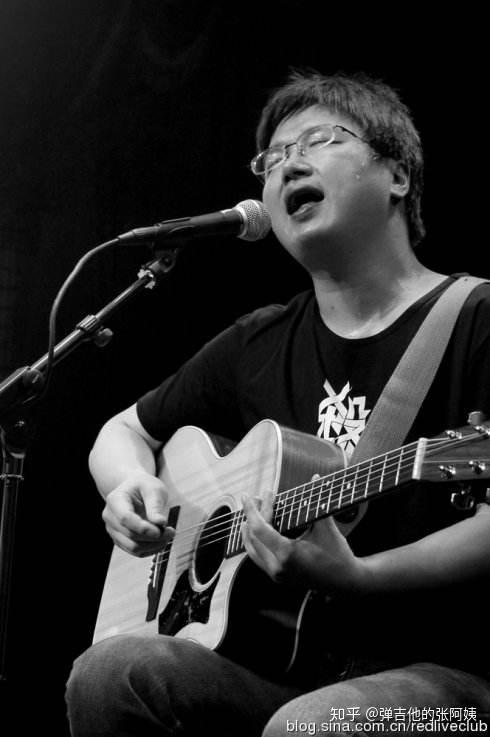 李志在巴黎演出的这把琴是什么