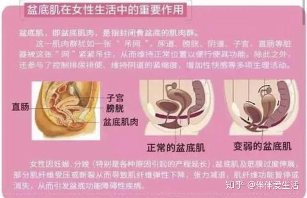 产后修复盆底肌的时候,不要忘了这个地方,它是产后塑形的关键!