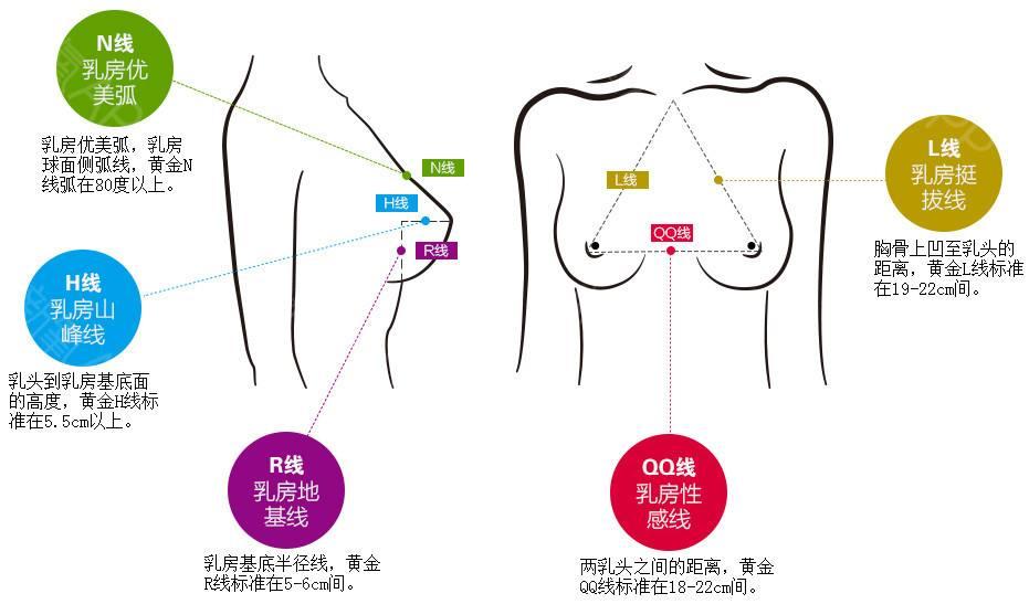 如何让胸部变得挺拔"有魅力"