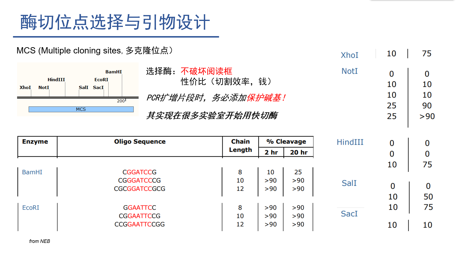 分子克隆原理与案例一