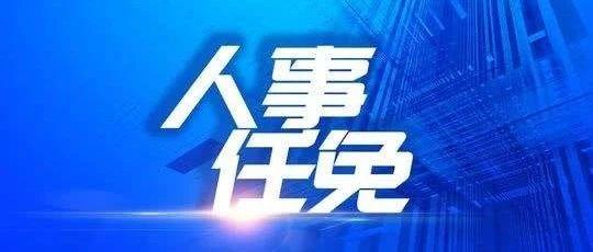 新疆最新人事任免名单