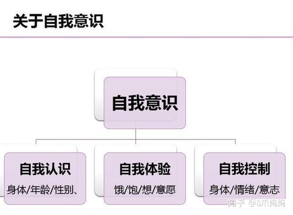 关于自我意识