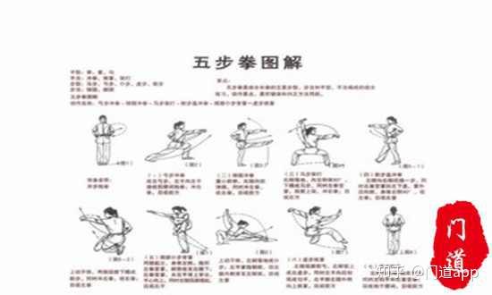 五步拳: 弓,马,仆,虚,歇五种步型