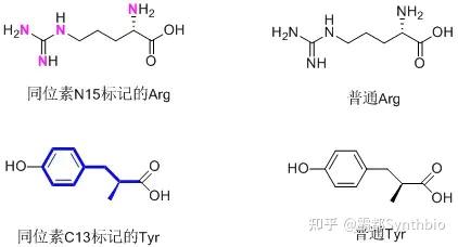 稳定同位素标记技术