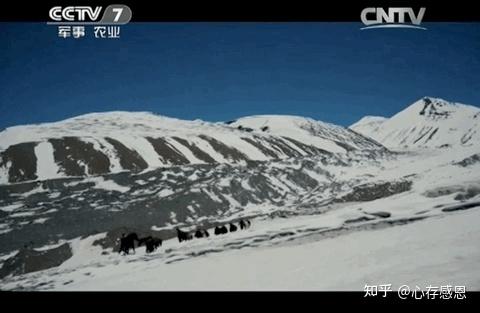 冈底斯山,喀喇昆仑山在这里相聚,雅鲁藏布江,印度河,恒河在这里发源