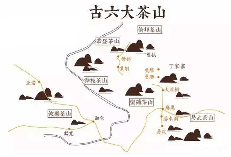 综合概述西双版纳茶区普洱茶的特点以及口感怎么样