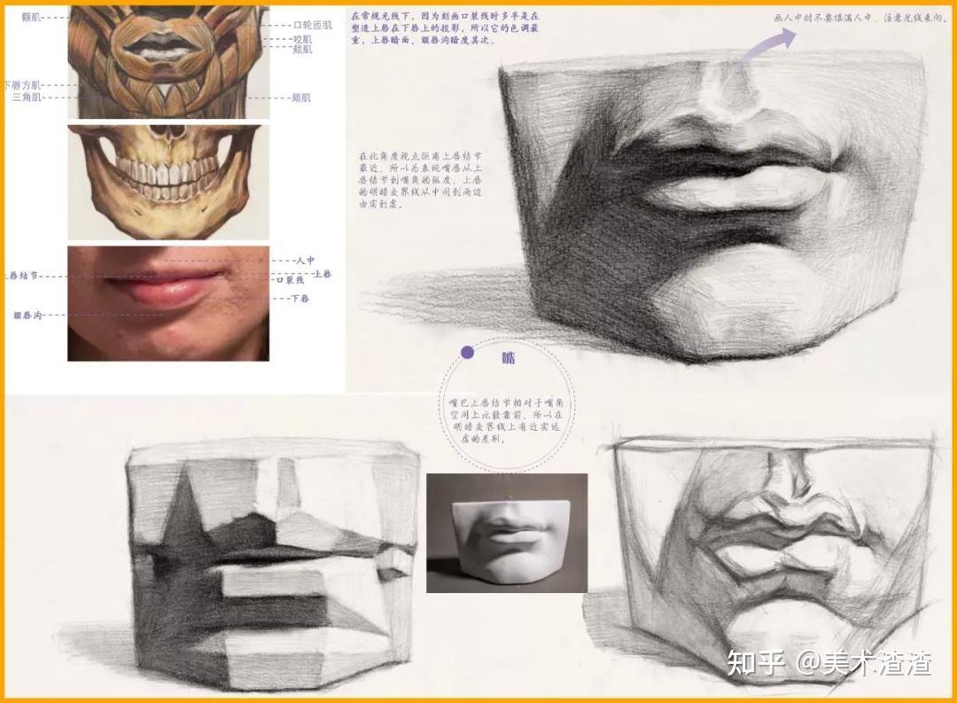 素描石膏五官要点深度解析助你快速理解