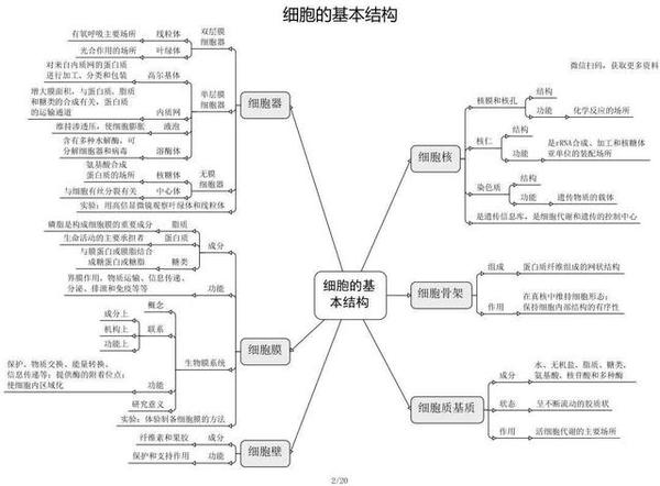 高考倒计时309天!高中生物:必修 选修「思维导图」最全版!