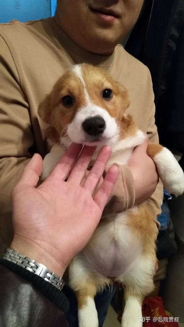 知乎