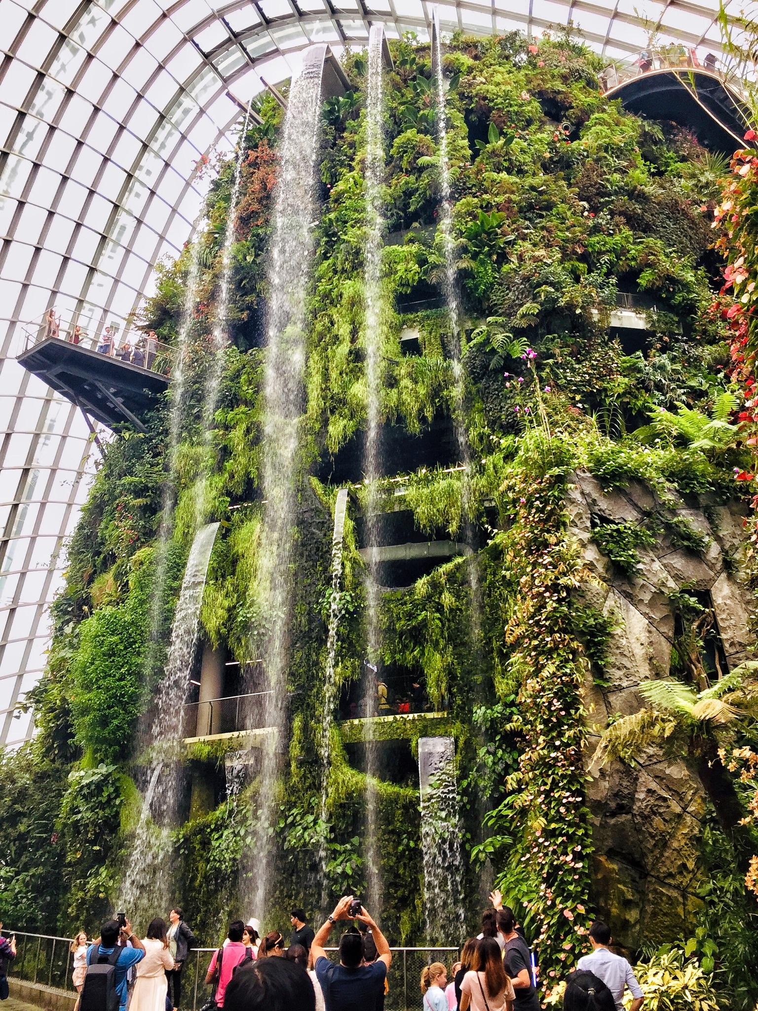 新加坡的滨海湾花园   显示全部