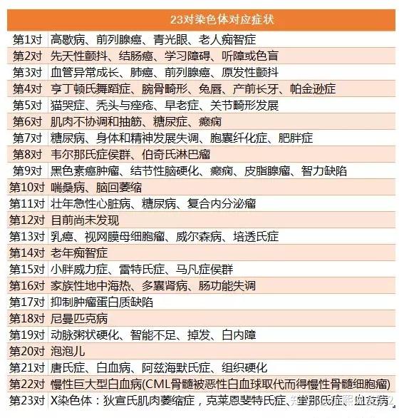 泰国试管婴儿,胚胎染色体筛查5对还是查23对?哪个比较