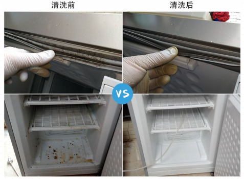 冰箱常清洗细菌无温床