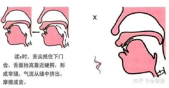 舌尖前音 舌尖向上门齿背接角或接近构成阻碍.普通话有3个:z.c.s.