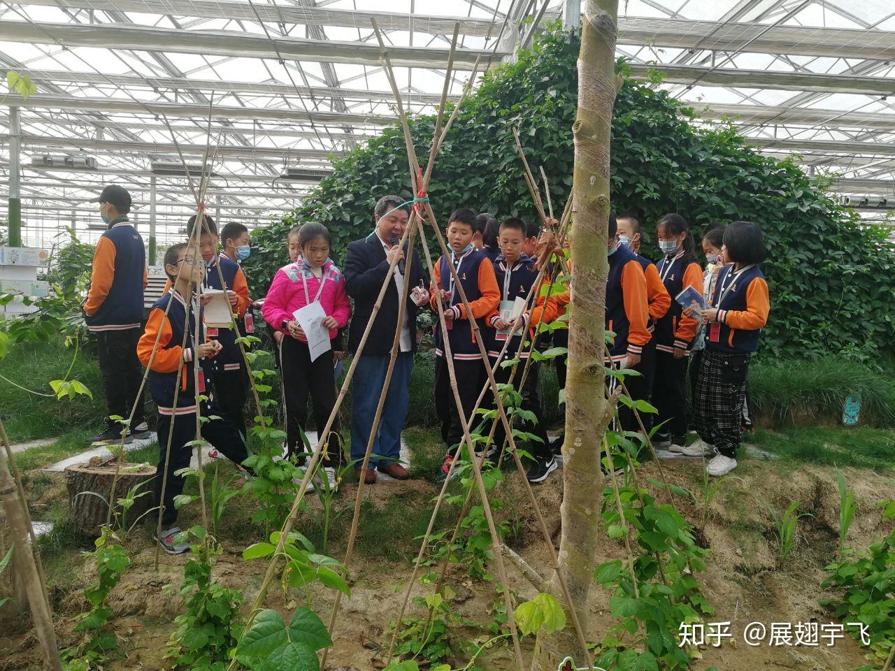 自然教育 研学旅行 中小学生研学实践教育基地 劳动教育 农业科普教育