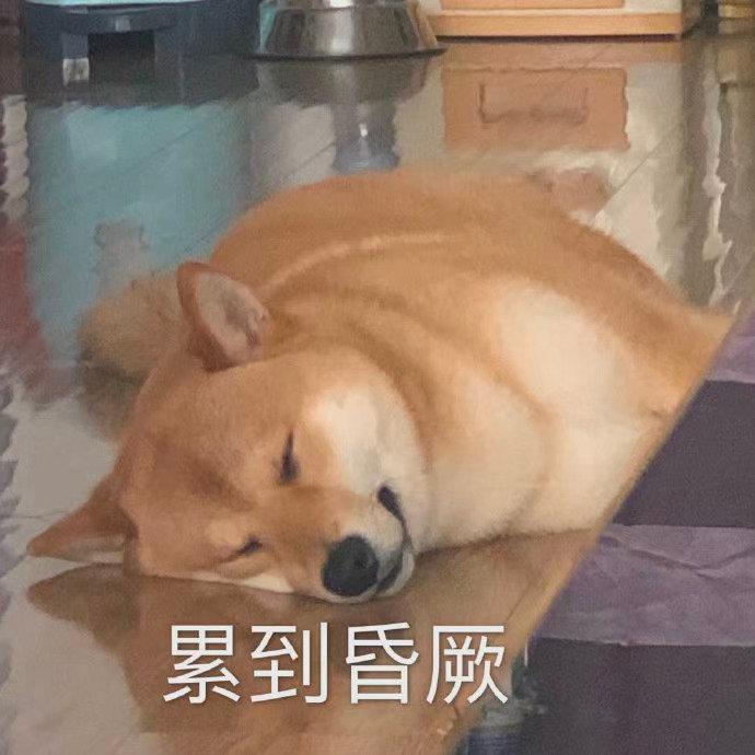 可爱表情包图片:渴望的目光
