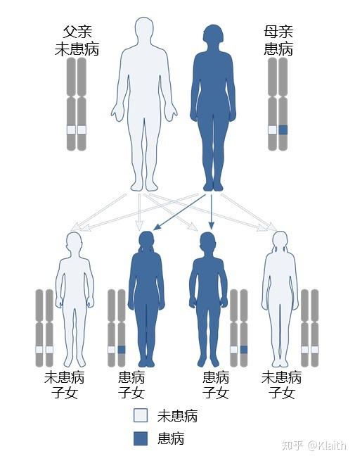 病的比例显著高于家族外人群,考察发现绝大多数符合"常染色体显性遗传