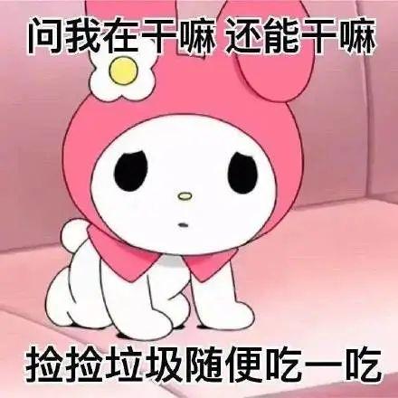 表情包 | 美乐蒂melody系列