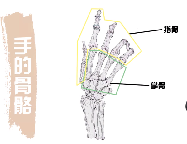 而双臂张开的长度差不对是你整个人的身高了