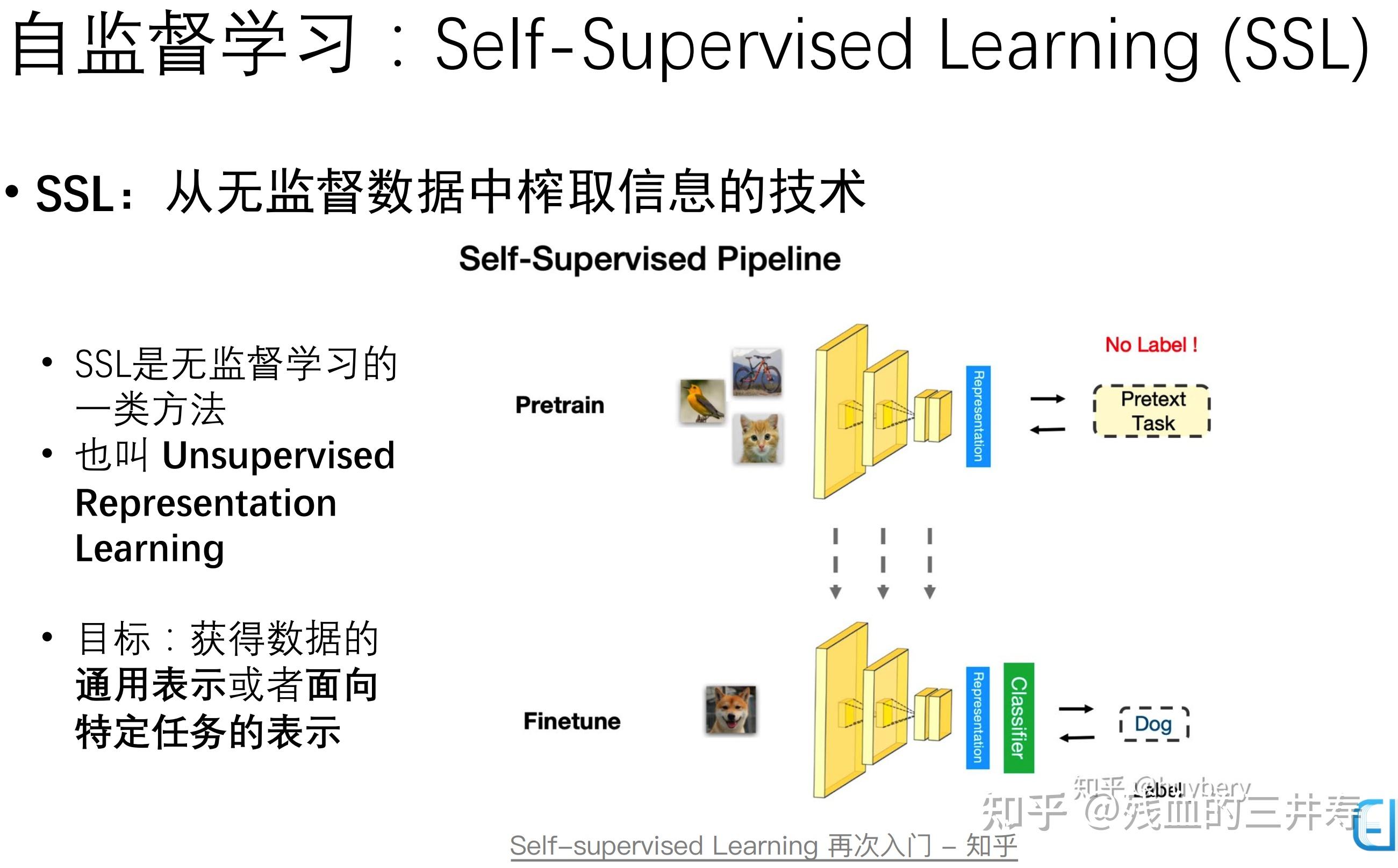 自监督学习入门