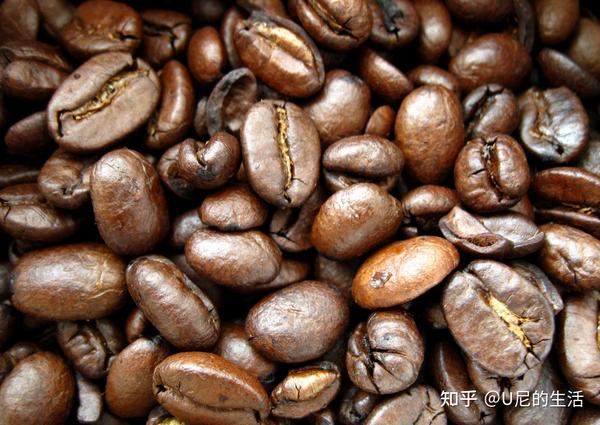 利比里卡咖啡豆的原产地为非洲,因个头较大,但口味不是非常突出,所以