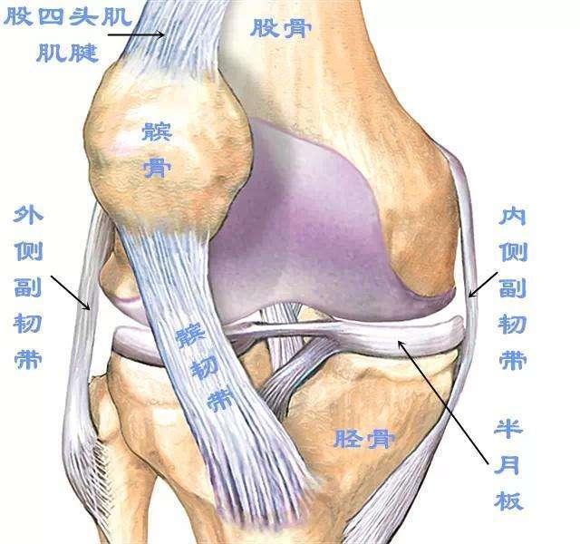 髌骨软化症,膝盖不能承受的痛!