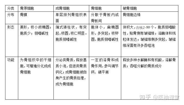 医学生期末复习资料组织学与胚胎学复习重点整理