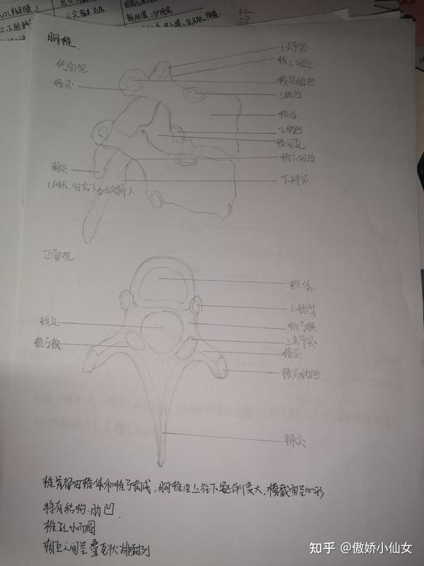 系解手绘图 - 知乎