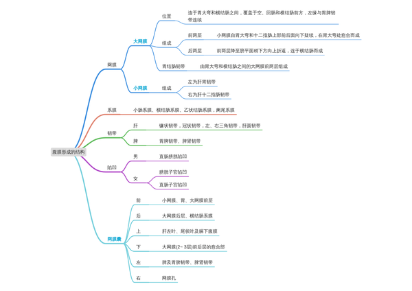 小白医学生笔记 (9)局部解剖学 | 打油诗 思维导图