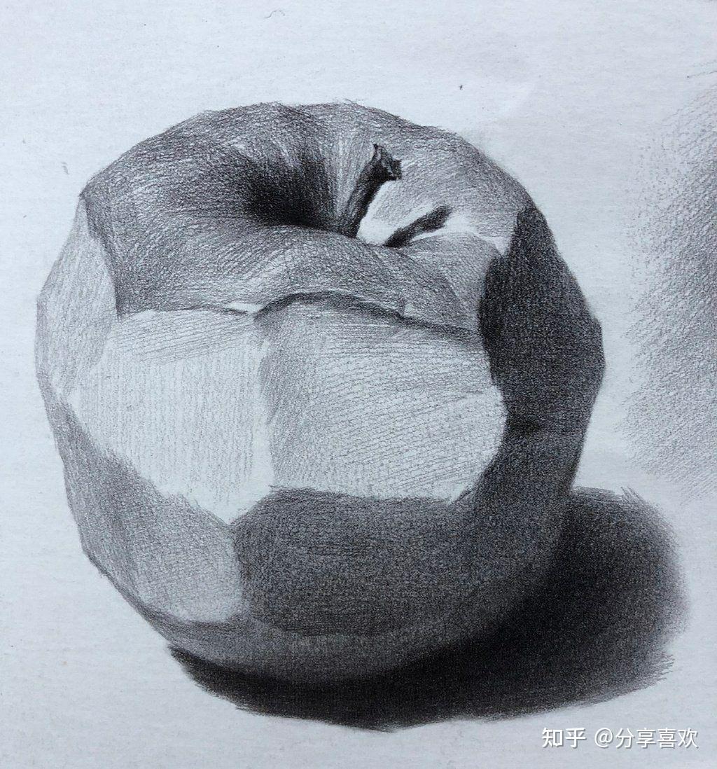 苹果解剖图