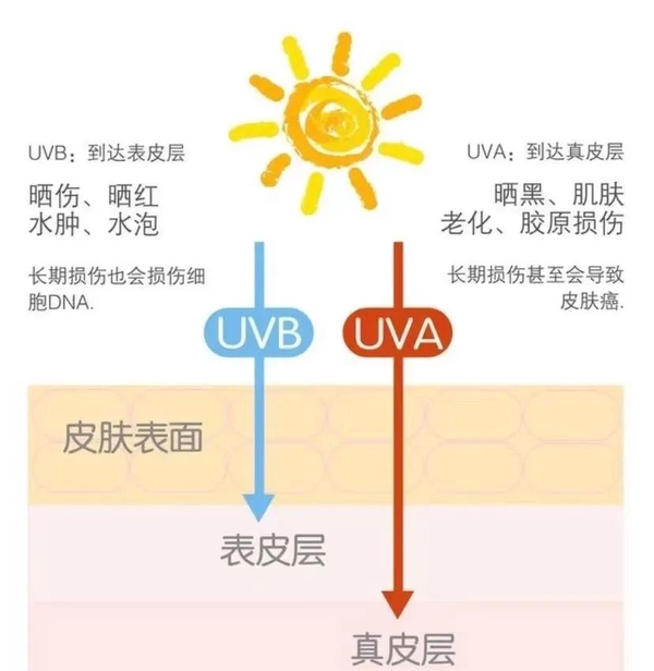 不是吧还有人不知道防晒的重要性