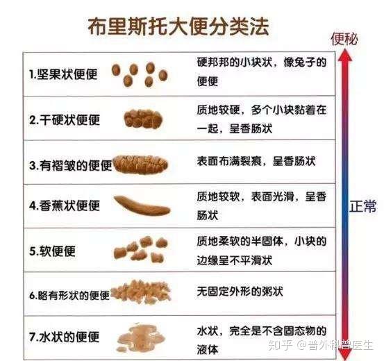 大便先硬后软是怎么回事?