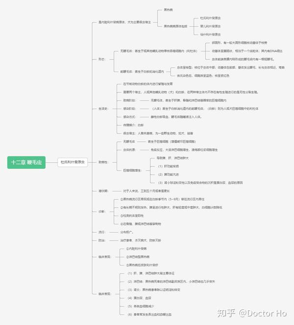医学寄生虫学第五版 思维导图