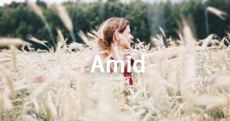 amid英文单词